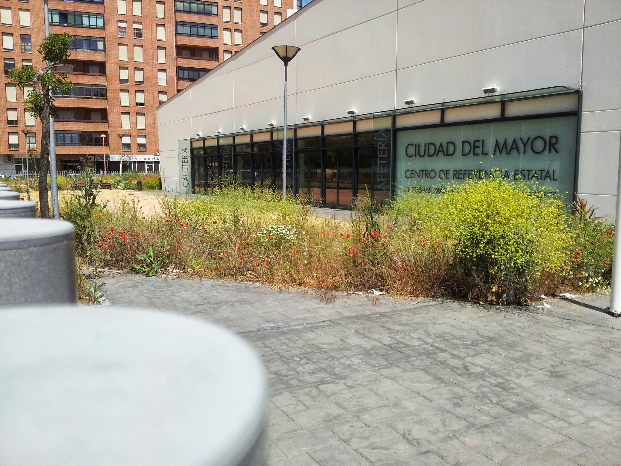 El PSOE municipal alerta del grave peligro de incendio en zonas verdes de la ciudad