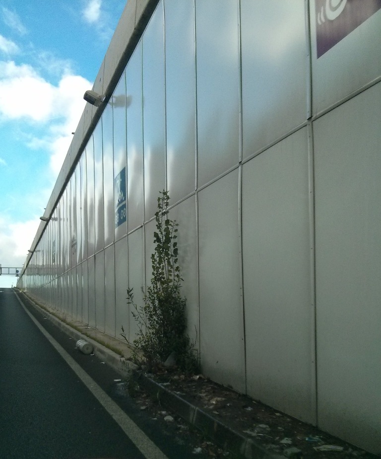 El PSOE exige la limpieza y reparaci&oacute;n urgente del paso de Michaisa